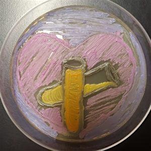 Image principale de Microbe Art Worlds (for ages 9-14)
