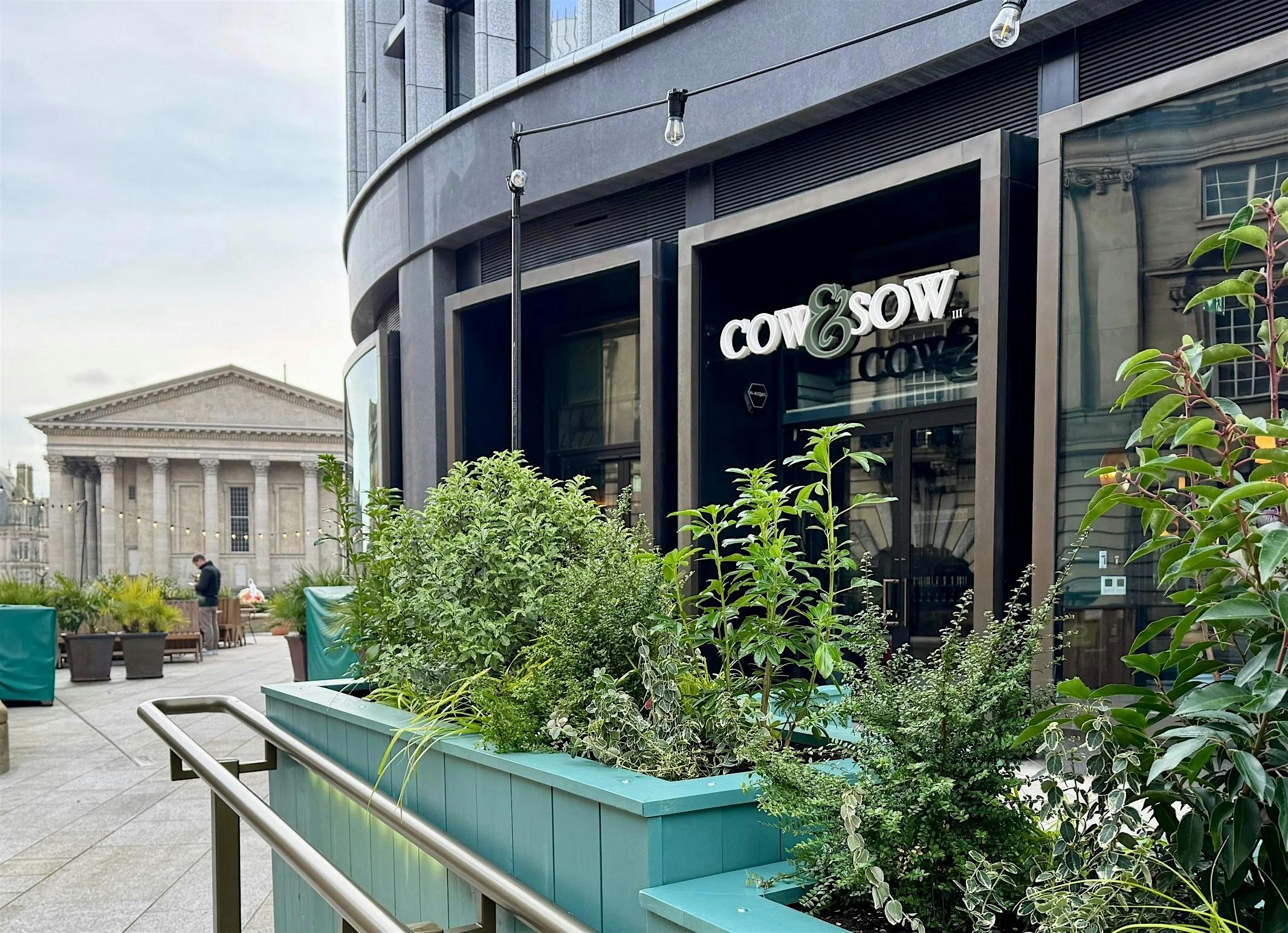 Cow & Sow ile Bir Akşam – Colmore Yemek Festivali Önizlemesi