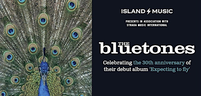 Image principale de Island Music presents The Bluetones with special guests Perchard's Wall