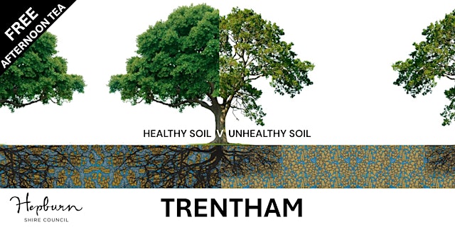 Image principale de Soil basics for tree health with free afternoon tea (Trentham)
