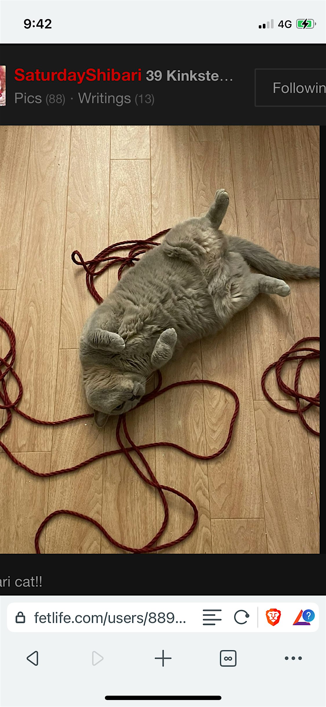 SaturdayShibari Guest Teachers!