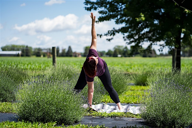 Image principale de Fall Transition - Outdoor Yoga at the Lavender Barnyard