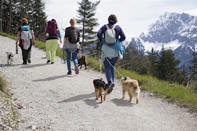 Image principale de Hundewanderung - durch das Laintal zum Lautersee