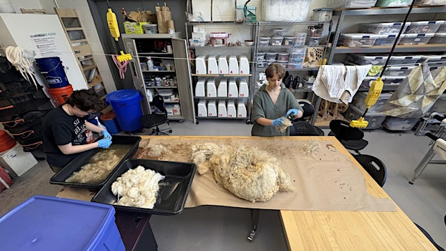 Image principale de From Fleece to Finished, A Wool Processing Workshop
