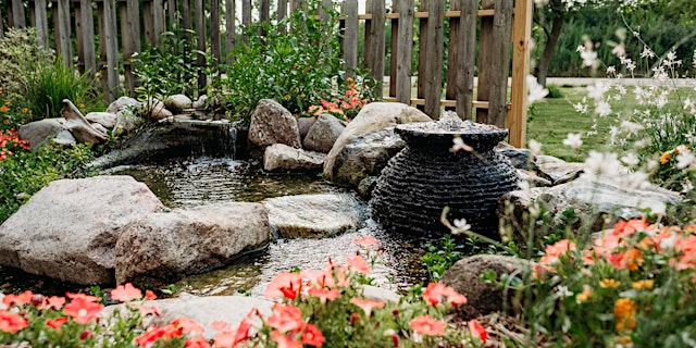 Image principale de Huron Tulips & Thyme Garden Tour 2026