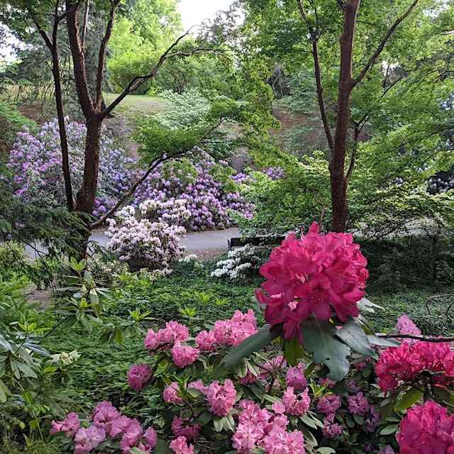 Image principale de Summer Landscapes of Highland Park - a Guided Tour