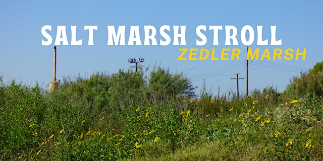 Imagen principal de Los Cerritos Wetlands Nature Walk : Salt Marsh Stroll
