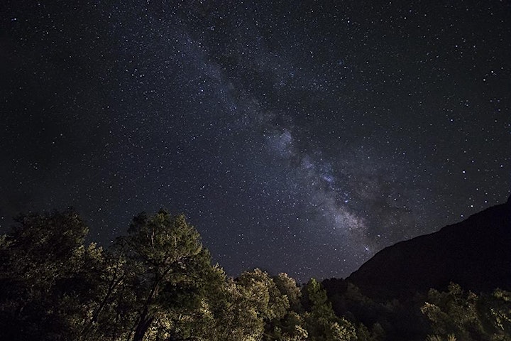 Apr 29-May 2, 2021 - Arizona Hummingbird & Night Photog: Madera Canyon image