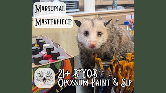 Image principale de Marsupial Masterpiece: Opossum Paint and Sip! +21 BYOB