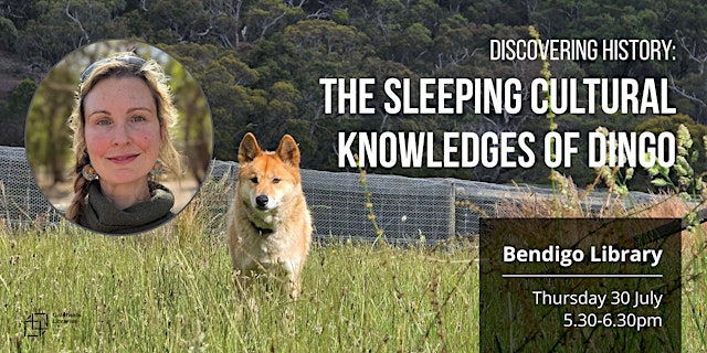 Discovering History: The sleeping cultural knowledges of Dingo primary image