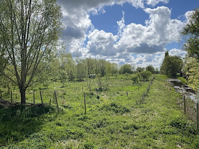 Image principale de Van Vogelparadijs De Groene Jonker naar Voedselbos Bloeiende Landen
