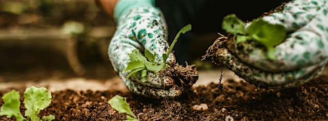 2026 Fall Gardening primary image