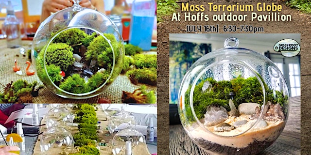 Image principale de Moss Terrarium Workshop at Hoff's