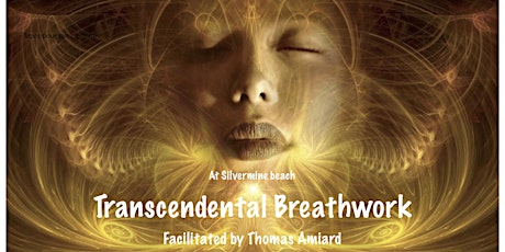 POSTPONED Transcendental Breathwork facilitated by Thomas Amiard primary image