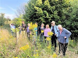 Image principale de Birds and a Brew July, What to Look for in Summer - Nature Discovery Centre, Friday 24 July