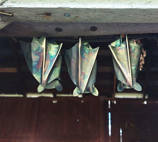 Copper class - bats! at the Vineyard at Hershey primary image
