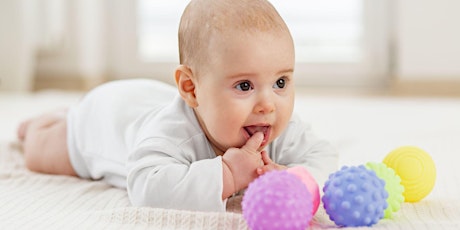 Baby Milestones from Birth to Twelve Months primary image