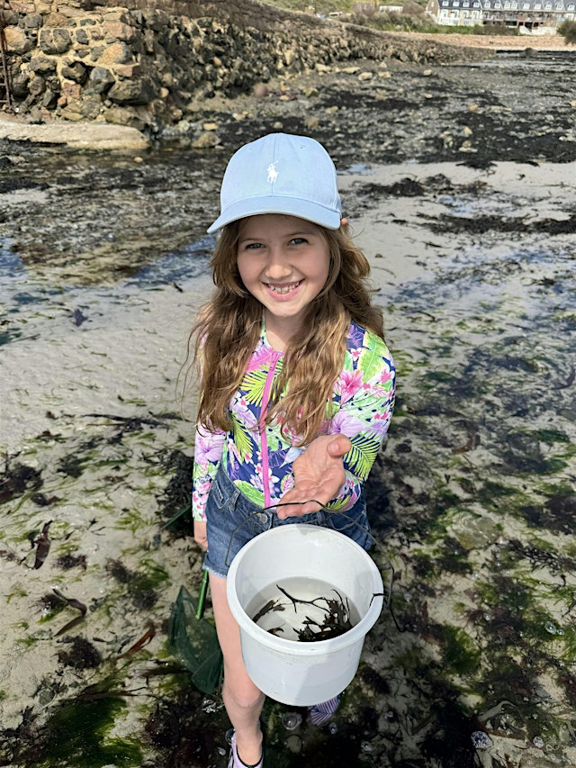 Image principale de National Trust for Jersey - Rockpool Ramble for families at Le Hocq