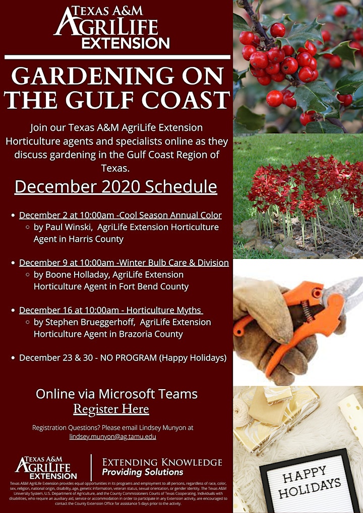 Gardening on the Gulf Coast image