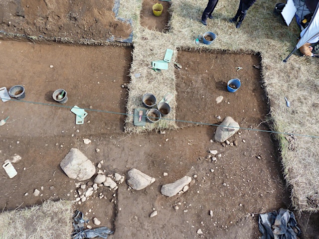 Primaire afbeelding van Tour of the King's Park Dig with Dr Murray Cook