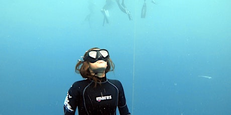 Beginner Freedive Course primary image