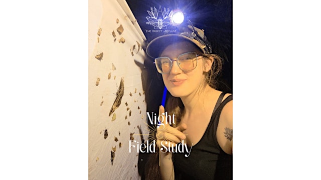 Image principale de Field Study After Dark