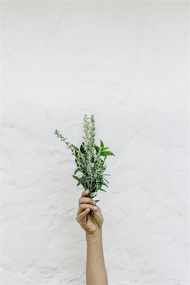 Image principale de Herb BINGO!