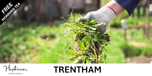 Image principale de Holistic weed management for bushland areas / Morning Tea (Trentham)