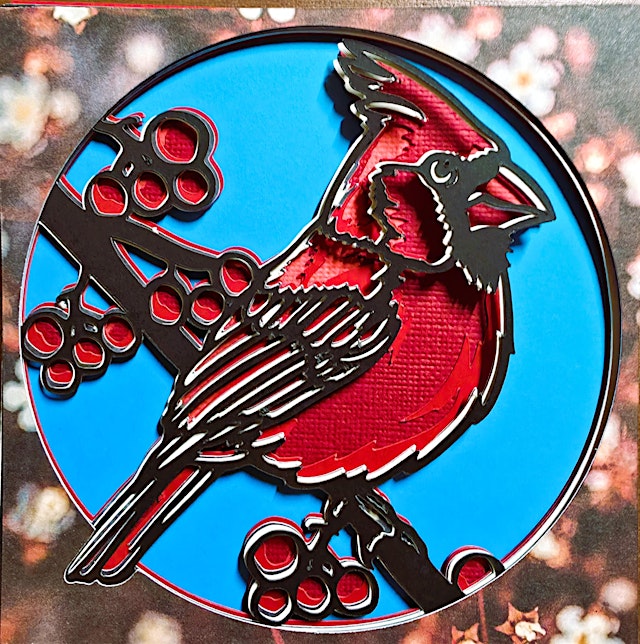 Immagine principale di Cardinal on branch