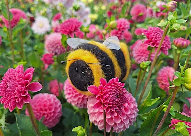 Needle Felting Class - Fuzzy Bumble Bee 2.0 at Swan Island Dahlias primary image