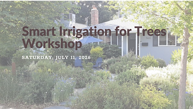 Image principale de Smart Irrigation for Trees Workshop