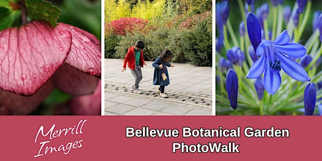 Bellevue Botanical Garden PhotoWalk with Merrill Images primary image