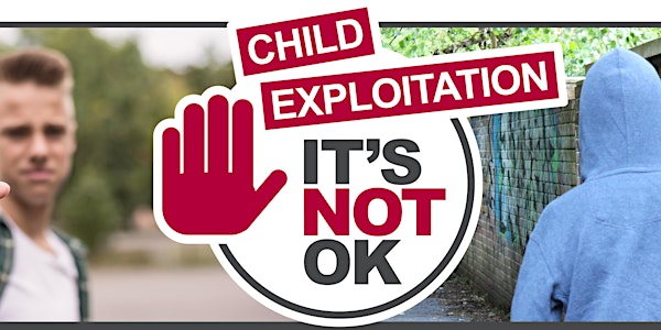 IT'S NOT OK - Online Safety Workshop for Parents & Carers