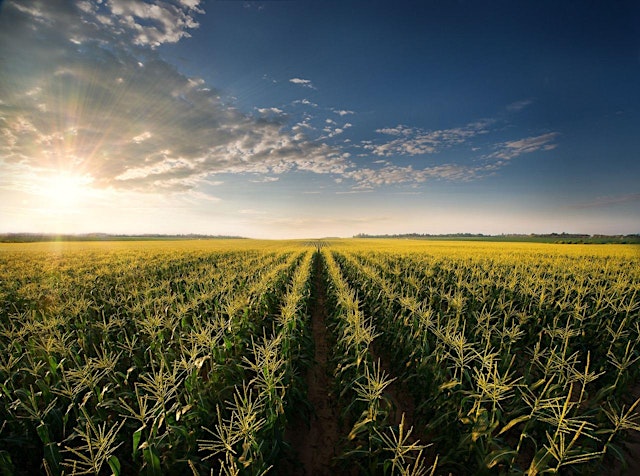 Image principale de Landowner Workshop Sumter County: Learn about New Grants up to $30k