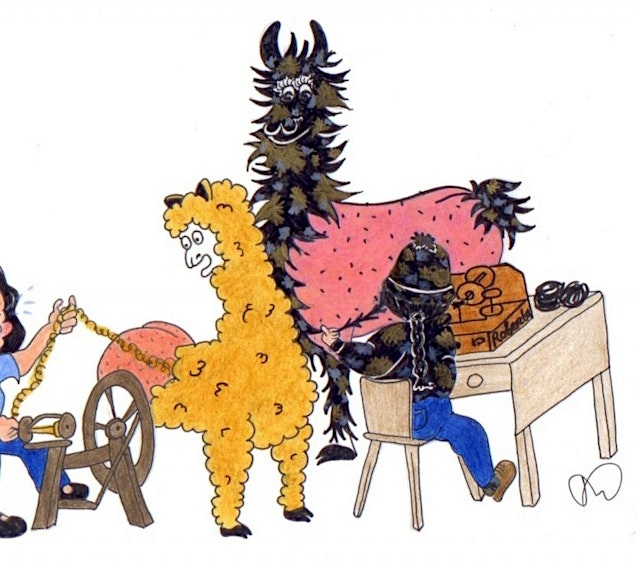 Image principale de Drop Spindle class with the Alpacas