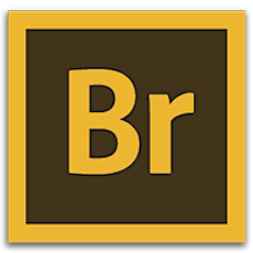 Image Automation, Batch Processing and Metadata with Adobe® Bridge® primary image