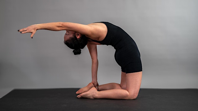 Image principale de Ayurvedic Yoga Teacher: Field Trip