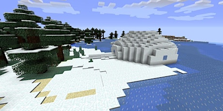Minecraft Fun Zone | Winter House primary image