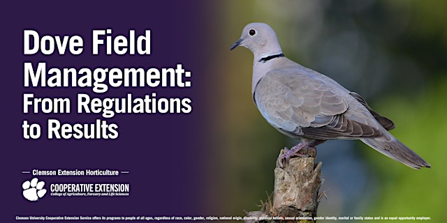 Image principale de Dove Field Management: From Regulations to Results