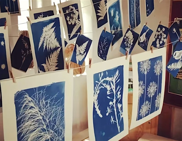 Image principale de Cyanotype & Early Photography: Botanical Sun Printing Workshop