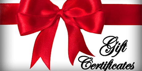 Gift Certificates - 16 Hour Illinois Concealed Carry Training Classes