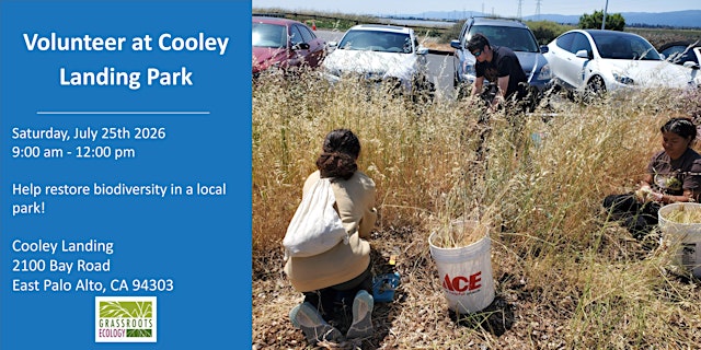 Image principale de Volunteer Outdoors in East Palo Alto at Cooley Landing