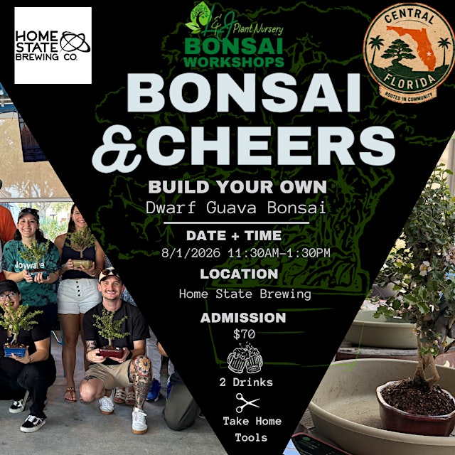 Image principale de Bonsai & Cheers at Home State Brewing | Dwarf Guava Bonsai Workshop