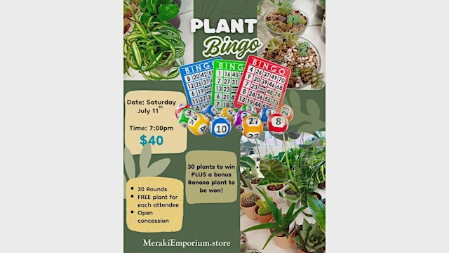 Image principale de Plant Bingo