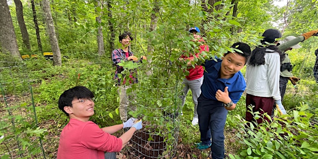 Image principale de FOPOS Land Stewardship Volunteer Session // Sunday, July 19th