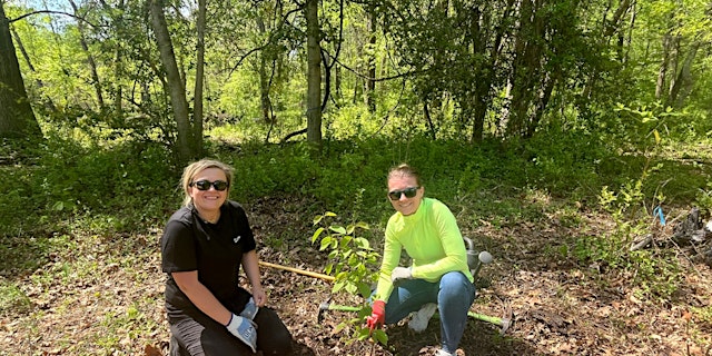 Image principale de FOPOS Land Stewardship Volunteer Session // Wednesday, July 22nd