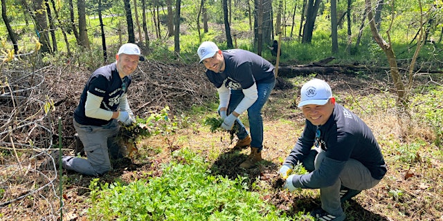 Image principale de FOPOS Land Stewardship Volunteer Session // Wednesday, August 5th