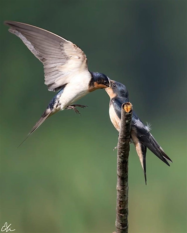Imagen principal de Master Your Camera Controls and Composition in the Field - Photo Workshops