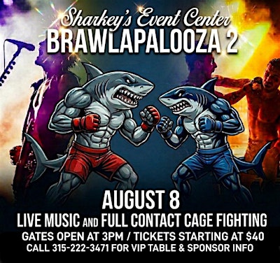 BRAWLAPALOOZA 2