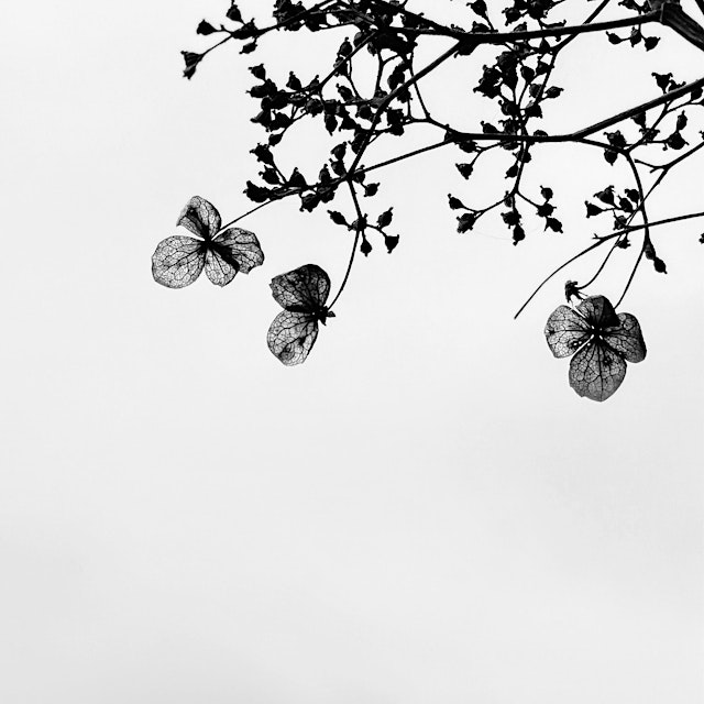 Image principale de An Autumn Day of Mindful Photography & Bookbinding